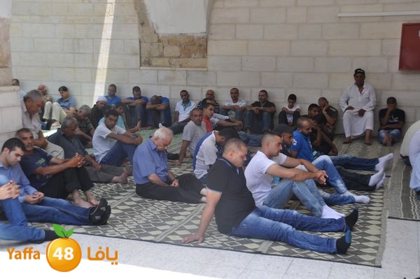 bazsalah lud 712 (58).JPG